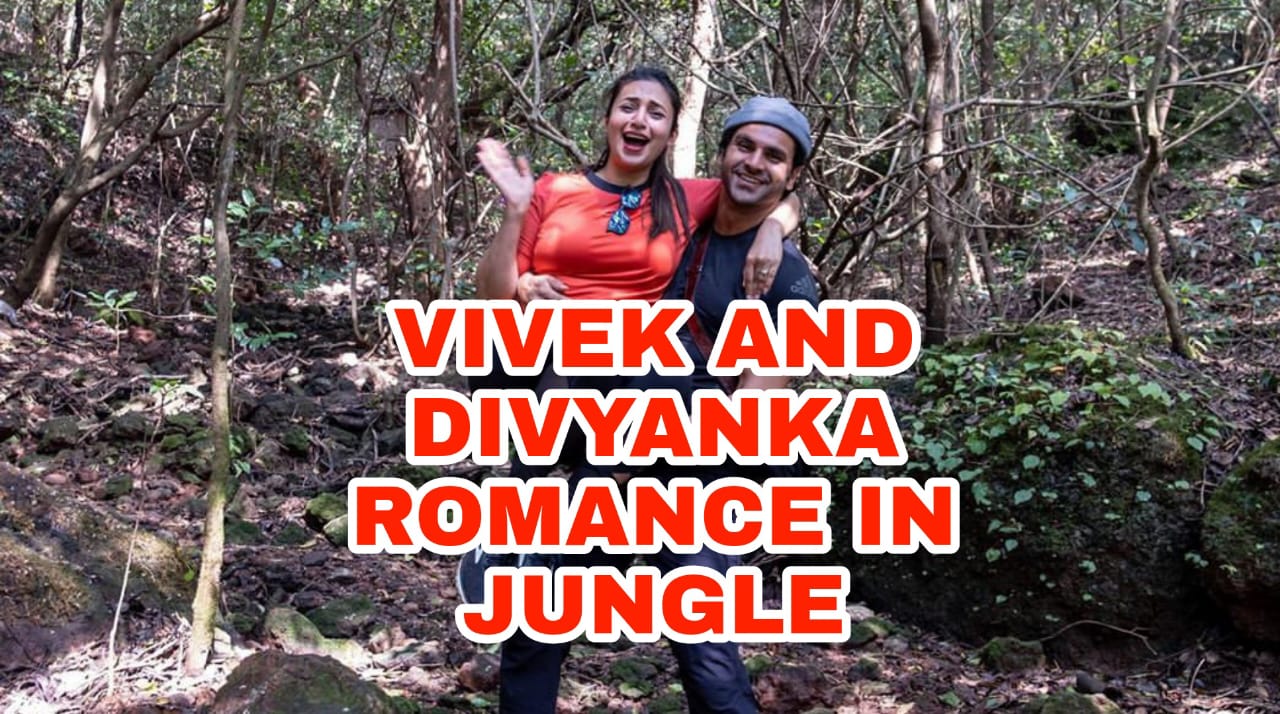 Vivek Dahiya And Divyanka Tripathi Romance In The Jungle Iwmbuzz