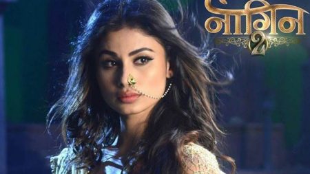 Rocky and Shivangi to consummate; Naagin 2 to take a small time leap