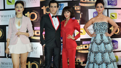 Red Carpet: 10th Boroplus Gold Awards 2017