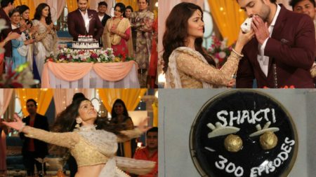 Colors’ Shakti – Astitva Ke Ehsaas Ki completes 300!!