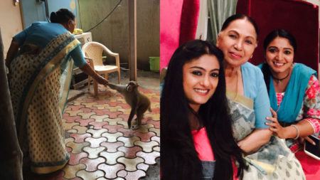 ‘Monkey brigade’ adds fun and entertainment on the sets of &TV’s Vani Rani