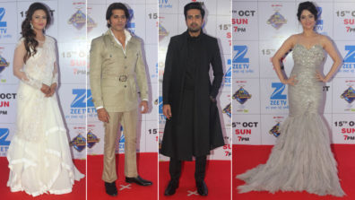 Red Carpet: ZEE Rishtey Awards 2017