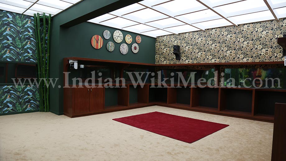 Sneak peek: Exclusive pics of Bigg Boss house season 11 - 10