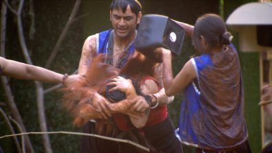 Bigg Boss 11 Day 23:  Contestants go wild in the Bigg Boss jungle