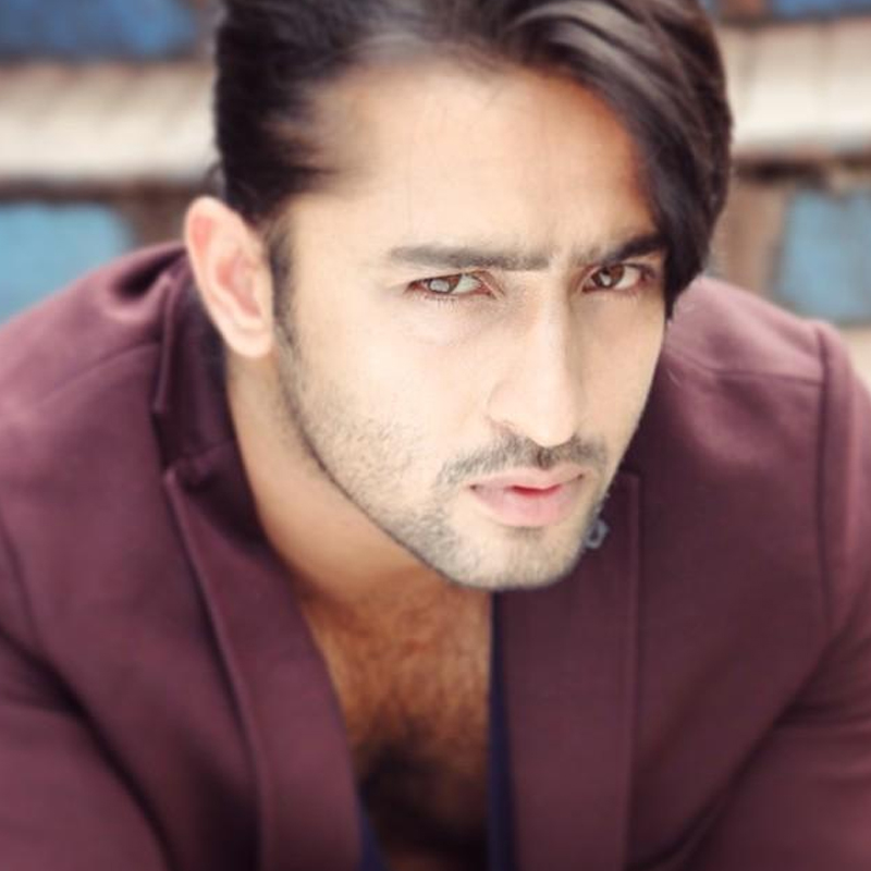 Shaheer Sheikh is Every Woman's Prince of Dream! - 0