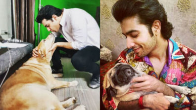 Playing with my dog is a great stress buster for me: Ssharad Malhotraa