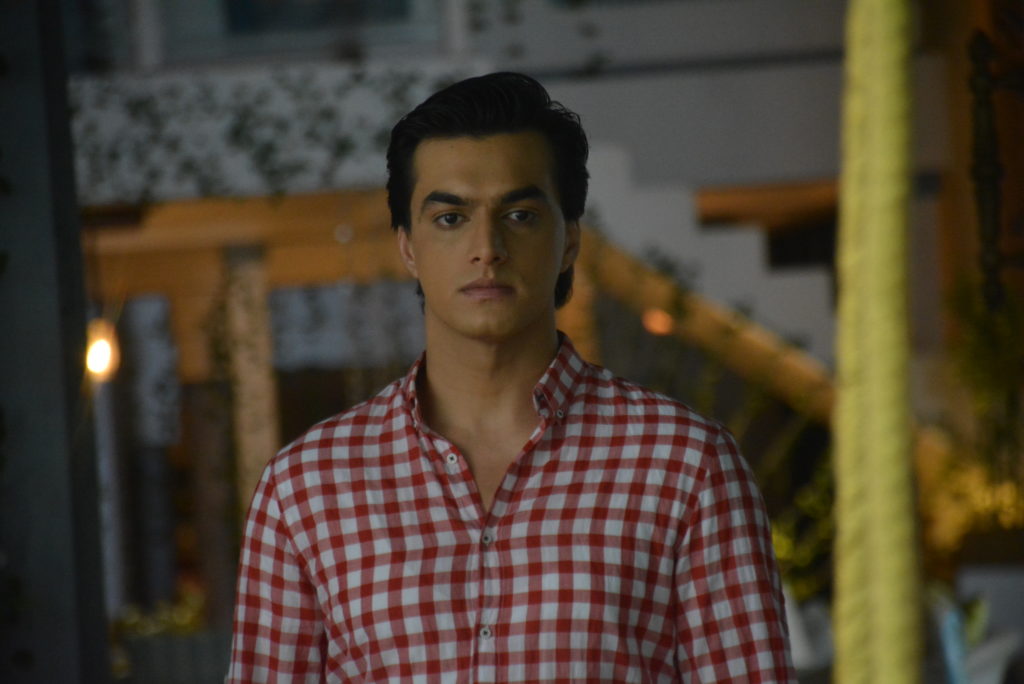 Janmashtami celebration on Yeh Rishta Kya Kehlata Hai - 5