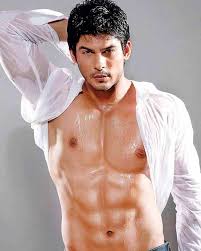 Bigg Boss 13 fame Siddharth Shukla: Everything you need to know about this TV hottie - 6