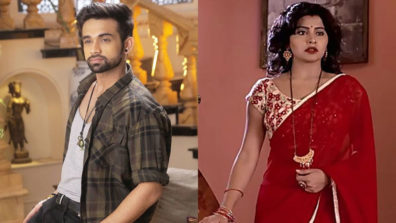Vishu to kidnap Ragini and Vikraal in &TV’s Agnifera