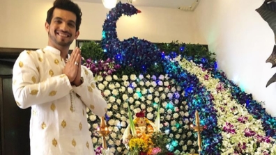 TV Celebs celebrate Ganesh Chaturthi