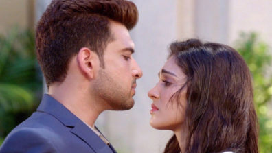 Vikrant to hire Palak to seek revenge from the Noons in Sony TV’s Dil Hi Toh Hai