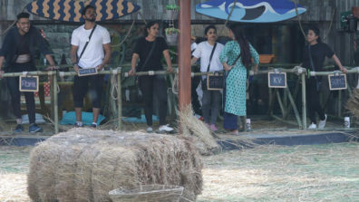 Bigg Boss 12: Dipika vs. Deepak in ‘Ghoda Gaadi’ luxury budget task