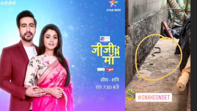 Snake on the sets of Star Bharat’s Jiji Maa