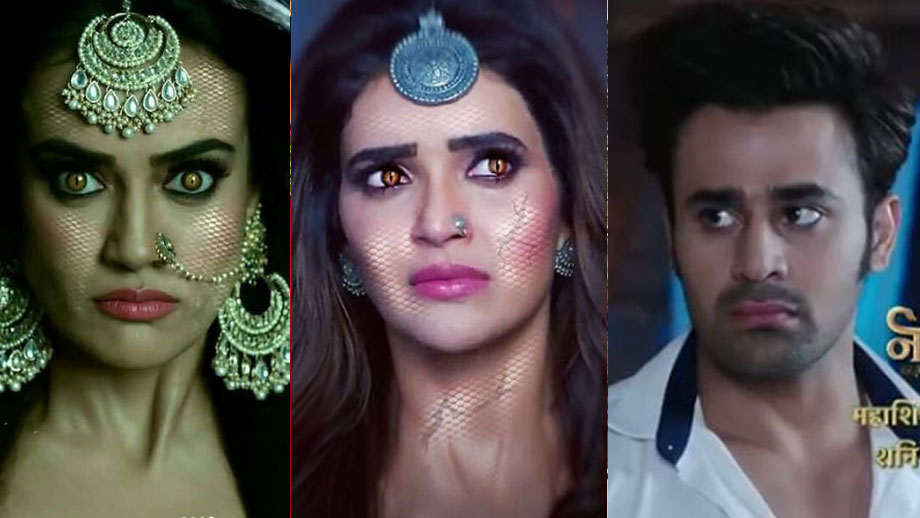 Bela and Ruhi’s fight for Mahir in Colors’ Naagin 3