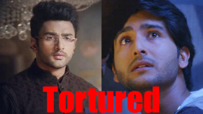 Guddan Tumse Na Ho Payega: Akshat to be tortured and drugged at the mental asylum