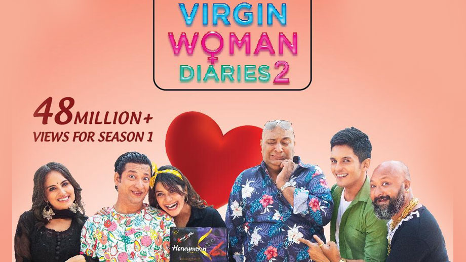 Review of Virgin Woman Diaries: Fun romance of errors, but fails to touch core concept