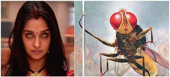 Weird, Insane and Simply Stupid: What the hell happened to Indian Television? 8