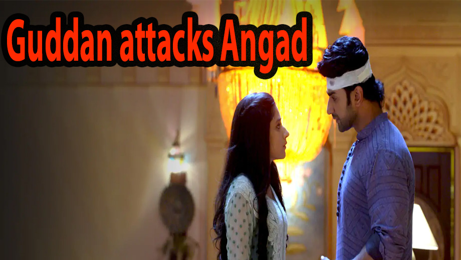 Guddan Tumse Na Ho Payega 17 April 2019 Written Update Full Episode: Angry Guddan attacks Angad