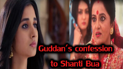 Guddan Tumse Na Ho Payega 25 April 2019 Written Update Full Episode: Guddan’s confession to Shanti Bua