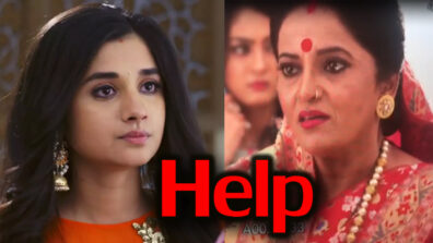 Guddan Tumse Na Ho Payega 29 April 2019 Written Update Full Episode: Guddan needs Shanti bua’s help