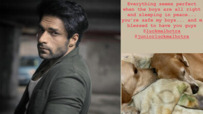 My whole house was on fire, but I am glad that I saved my dog: Shaleen Malhotra