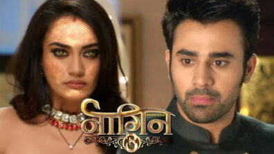 Naagin 3 21 April 2019 Written Update Full Episode : Mahir is attacked