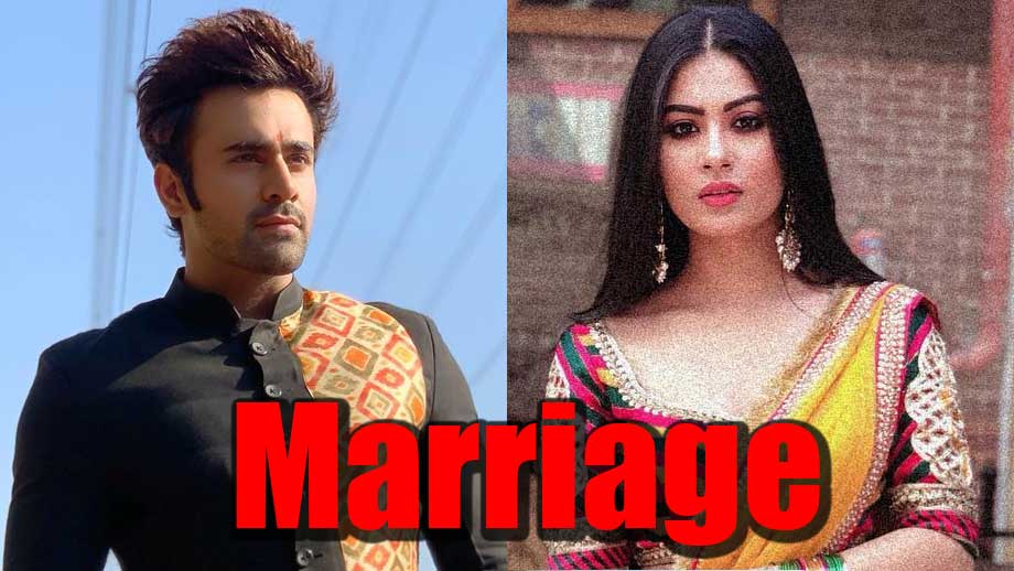 Naagin 3: Mihir and Tanya to get married