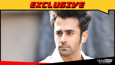 Naagin fame Pearl V Puri to play the male lead in Kasam Tere Pyaar Ki 2?