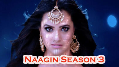 Naagin Season 3 14th April 2019 Written Episode Update: Tamsi gets violent