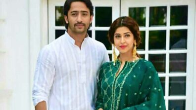 Shaheer Sheikh and Sonarika Bhadoria pen down a cute post for each other!