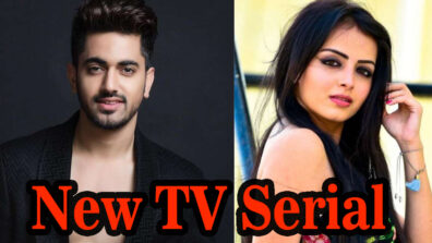 Shrenu Parikh & Zain Imam’s new TV serial Sarvagun Sampanna has us extremly excited!