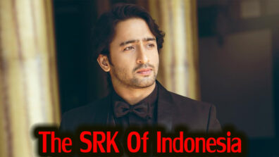 The SRK of Indonesia aka Shaheer Sheikh completes 10 years in the TV industry