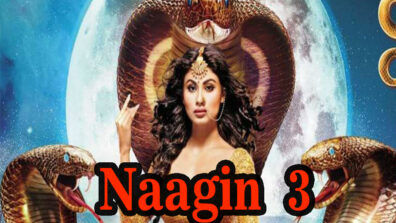 This is why India loves the most watched TV show, Naagin 3