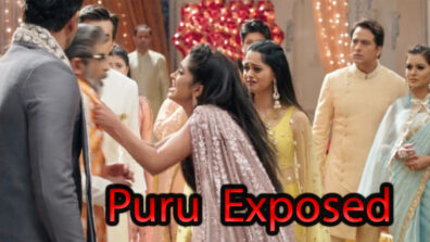 Yeh Rishta Kya Kehlata Hai 17 April 2019 Written Update: Naira adamant to expose Puru