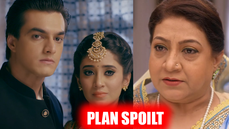 Yeh Rishta Kya Kehlata Hai: Dadi to spoil Kartik and Naira’s expose plan