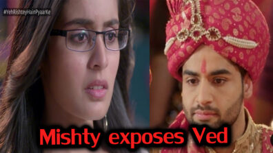 Yeh Rishtey Hai Pyaar Ke 25 April 2019 Written Update Full Episode: Mishty exposes Ved openly