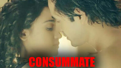 Yeh Un Dinon Ki Baat Hai: Sameer and Naina to consummate