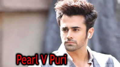 Everything you need to know about Naagin 3 star Pearl V Puri