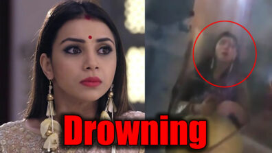 Guddan Tumse Na Ho Payega: Guddan to save Laxmi from getting drowned