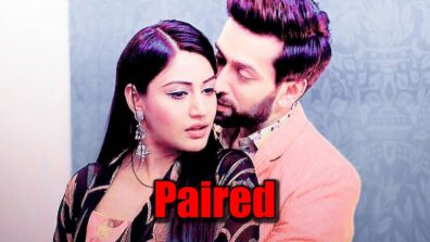 Ishqbaaaz: Should Nakuul Mehta and Surbhi Chandna be paired again? 