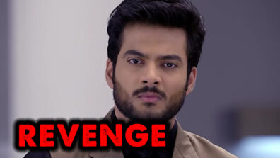 Kasautii Zindagii Kay 30 May 2019 Written Update Full Episode: Ronit gets his revenge