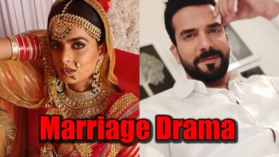 Kundali Bhagya: Drama galore in Sherlyn and Rishabh’s marriage