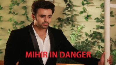 Naagin 3 12 May 2019 Written Update: Mihir is in danger!