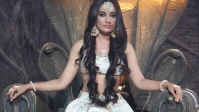 Naagin 3 26 May 2019 Written Update: Shravani slays the enemies