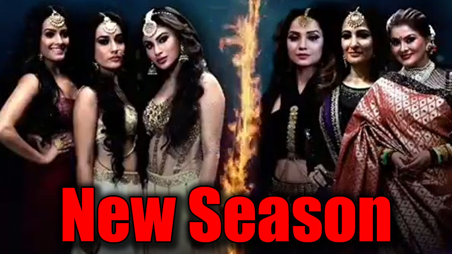 Naagin 3: Reason behind the next new season