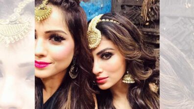 Naagin 3: Shesha and Shivanya are back