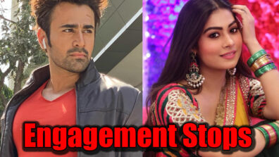 Watch Naagin 3: Shravani stops engagement of Mihir and Tanya
