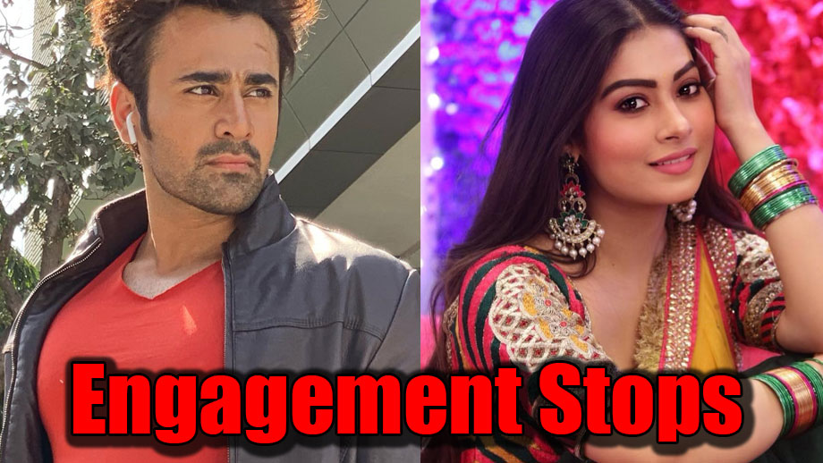 Naagin 3: Shravani stops engagement of Mihir and Tanya