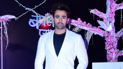 Naagin 3’s Mahir was warmly accepted and I want the audience to love Bepannah Pyaarr’s Raghbir too: Pearl V Puri