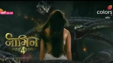 Naagin to return with season 4, check out the teaser